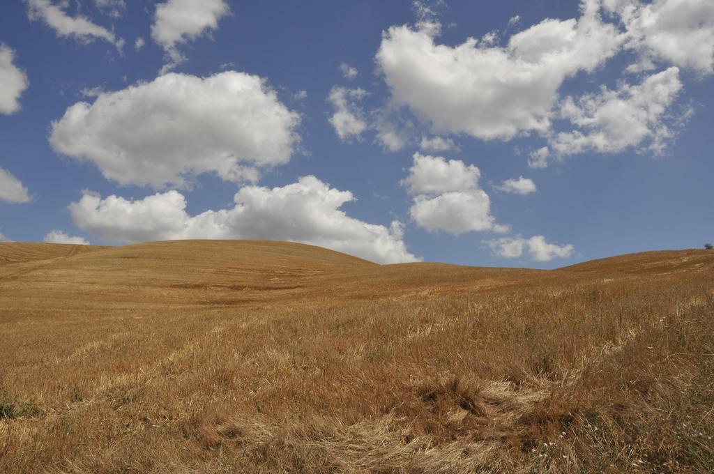 Agriturismo Podere Campaini Volterra Dış mekan fotoğraf