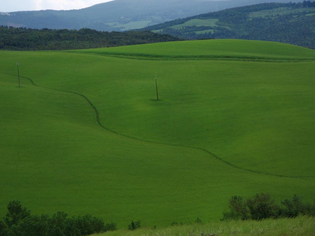 Agriturismo Podere Campaini Volterra Dış mekan fotoğraf