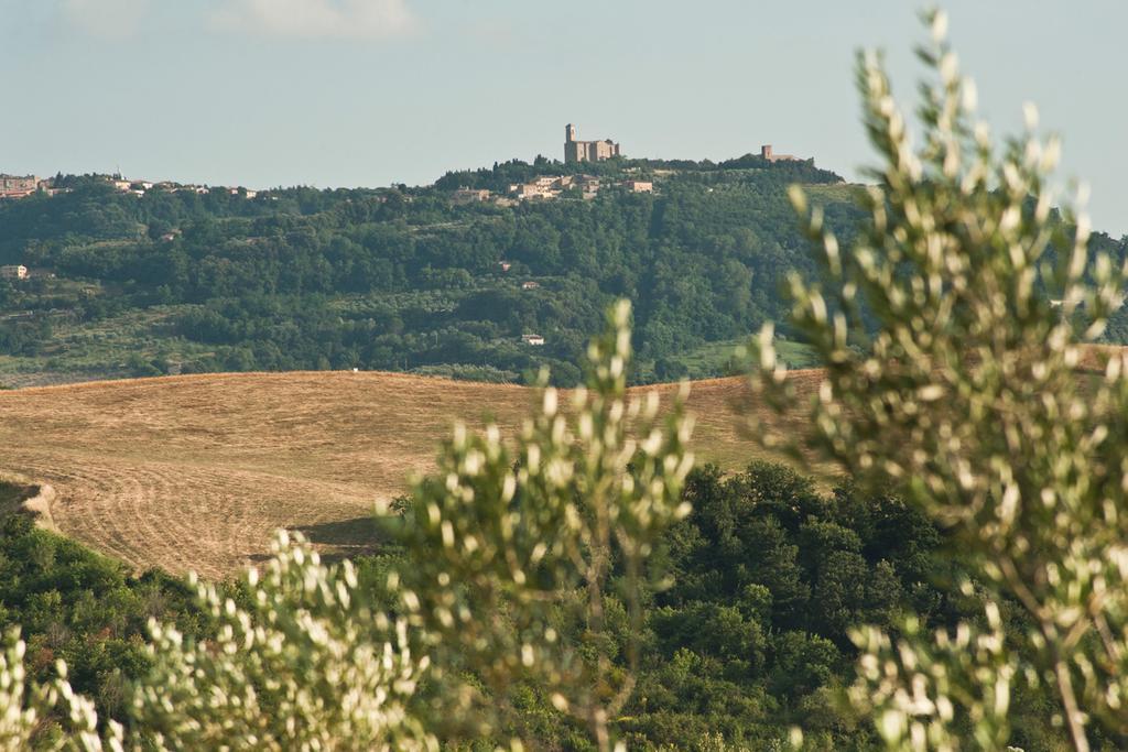 Agriturismo Podere Campaini Volterra Dış mekan fotoğraf