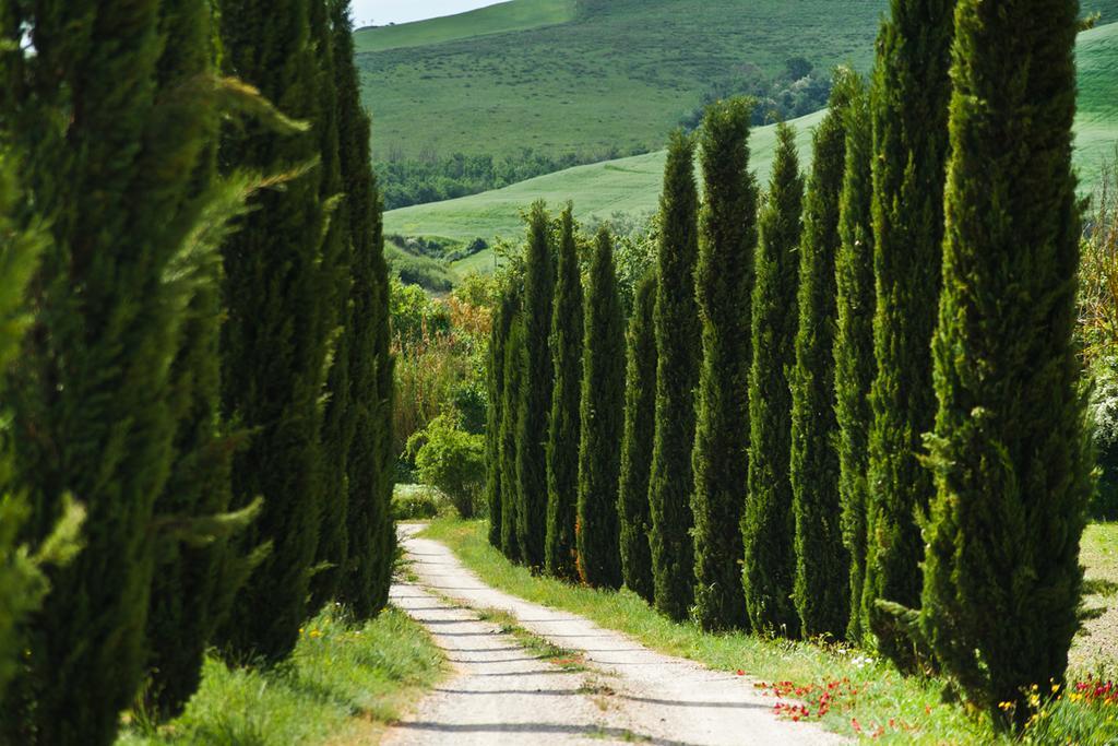 Agriturismo Podere Campaini Volterra Dış mekan fotoğraf